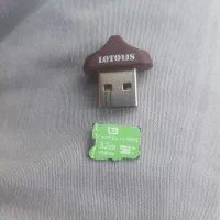 فلش