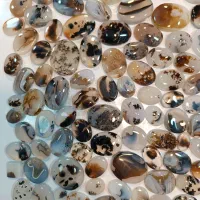 سنگ شجر طبیعی