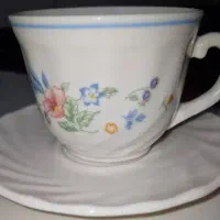 پیشدستی و فنجان نعلبکی ویکتوریا