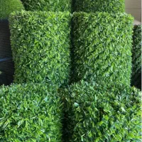 چمن مصنوعی/فنس چمنی/گرین وال/تایل ترموود،سنگ قلوه|مصالح و تجهیزات ساختمان|بندرعباس, |دیوار