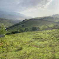 فروش زمین رودبار-رستم آباد-روستای شیرکوه|فروش زمین و ملک کلنگی|رودبار, |دیوار