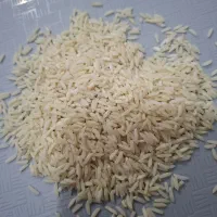 طارم هاشمی