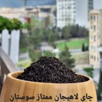 چای بهاره لاهیجان ممتاز سوستان
