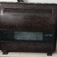 بخاری 12 هزار آدُنیس