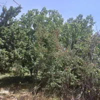 سرمایه گذاری درزمینه گردشگری