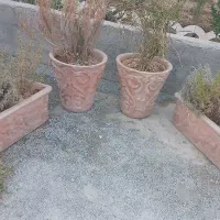 چهار گلدان بزرگ سفالی