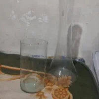 دو عدد گلدون شیشه ای