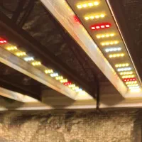 لامپ رشد grow light) king led)|لامپ و چراغ|فولادشهر, فولادشهر|دیوار