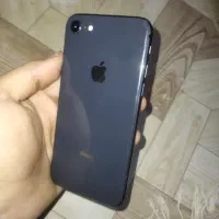 iphone8 normal (LA)