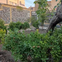 اجاره خانه ویلایی ۳۰۰ متر زمین ۱۶۰ متر بنا