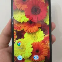 موبایل Gplus مدل Q10