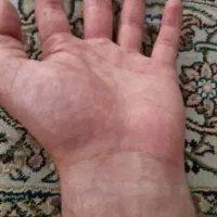 مشاوره لوژیست