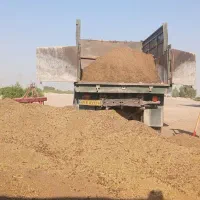 کود|خدمات باغبانی و درختکاری|دزفول, |دیوار