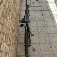 دوچرخه المپیا 24|دوچرخه، اسکیت، اسکوتر|بیرجند, |دیوار