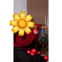 عکاسی دکور یلدا|خدمات پذیرایی، مراسم|بندر گناوه, |دیوار