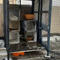 فروش قفس آهنی بزرگ،دست ساز.سفارشی.