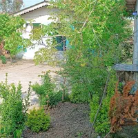 سویت ویلا روزانه شبانه کوتاه مدت دریا کنار|اجارهٔ کوتاهمدت ویلا و باغ|رشت, معلم|دیوار