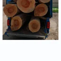 خریدشماچوب نقد|خدمات باغبانی و درختکاری|علیآباد کتول, |دیوار