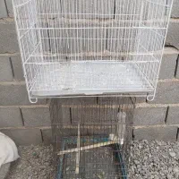 قفس عروس بزرگ