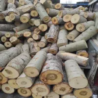 هیزم چوب دکوری شومینه