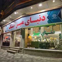فروشنده ادمین خانم در فروشگاه