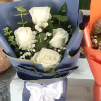 باکس های  گل تخفیفی|گل و گیاه طبیعی|فولادشهر, B5|دیوار