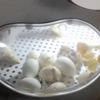 دستگاه جوجه کشی|لوازم جانبی حیوانات|قم, چهل درخت|دیوار