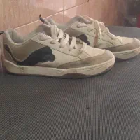 کتانی اصل|کیف، کفش، کمربند|اردبیل, |دیوار