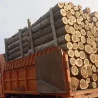 اردبیل پارس آباد