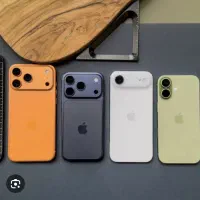 17 ch 256  شرکتی