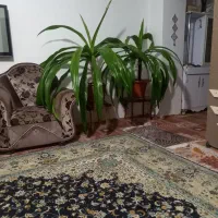 فروس ۲تا گل اشک مریم