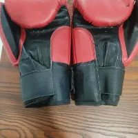 دستکش بوکس|تجهیزات ورزشی|مشهد, کلاته برفی|دیوار