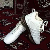 کفش ملی سایز41