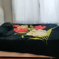 اجاره کوتاه مدت سویت|اجارهٔ کوتاه‌مدت آپارتمان و سوئیت|اصفهان, محله سفلی|دیوار