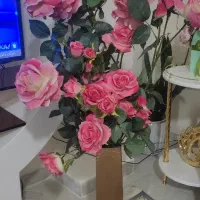 گل و گلدان|گل مصنوعی|همدان, |دیوار