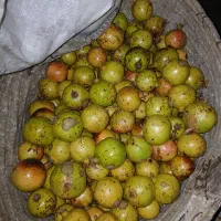 انار  ترش درجه یک و رب انار  دستچین
