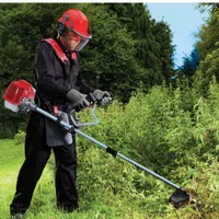 خدمات باغبانی|خدمات باغبانی و درختکاری|فومن, |دیوار