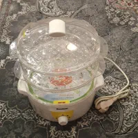 بخارپز همیلتون