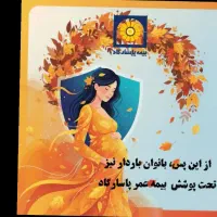 (طرح ویژه بازنشستگی 5ساله بیمه پاسارگاد)|خدمات مالی، حسابداری، بیمه|دورود, |دیوار