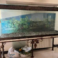 آکواریوم دست ساز