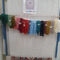 جفت پشتی