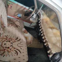 تویوتامدل83|خودرو سواری و وانت|سراوان, |دیوار