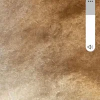 فروش کاه کاکوب