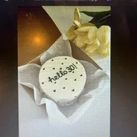 همزن بیست لیتری برند بست