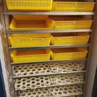 یک عدد دستگاه جوجه کشی 1000تایی