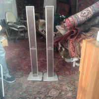 دو عدد باند کارکرده پاناسونیک سنتر