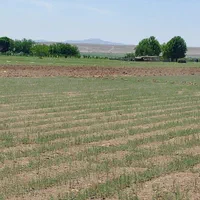 فروش زمین ۳۰۰متری کردان سهیلیه زعفرانیه|فروش زمین و ملک کلنگی|چهارباغ, |دیوار