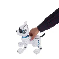 سگ رباتیک|اسباب‌بازی بچه|چالوس, |دیوار