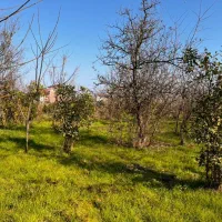 فروش زمین لپاسرک