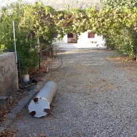 باغ ویلایی در گناوه لری|فروش خانه و ویلا|دوگنبدان, |دیوار